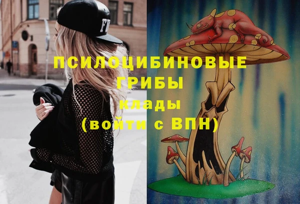 jwh Алзамай