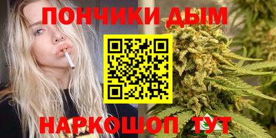 МДПВ Кингисепп