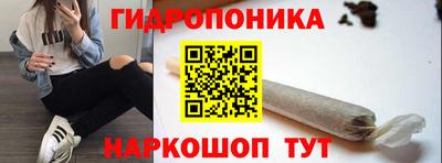 МДПВ Кингисепп