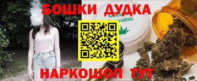 МДПВ Кингисепп