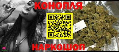 МДПВ Кингисепп