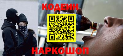 МДПВ Кингисепп