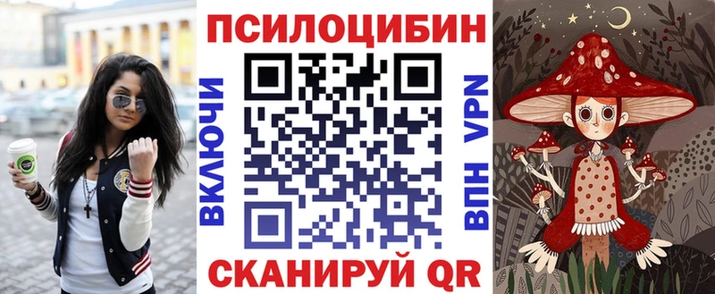 Псилоцибиновые грибы Psilocybe  KRAKEN зеркало  Красноярск 