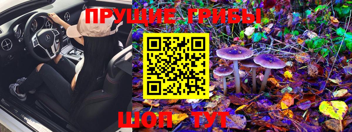 Псилоцибиновые грибы Cubensis  Галлюциногенные грибы Magic Shrooms  Вход с VPN  Красноярск 